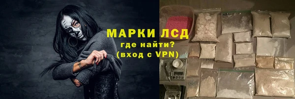 ешки Аркадак