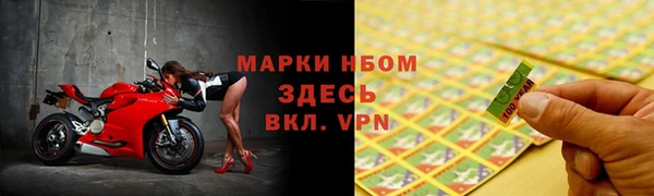 ешки Аркадак