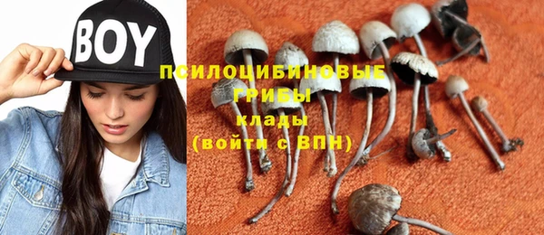 ешки Аркадак