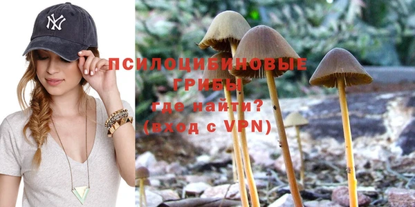 ешки Аркадак